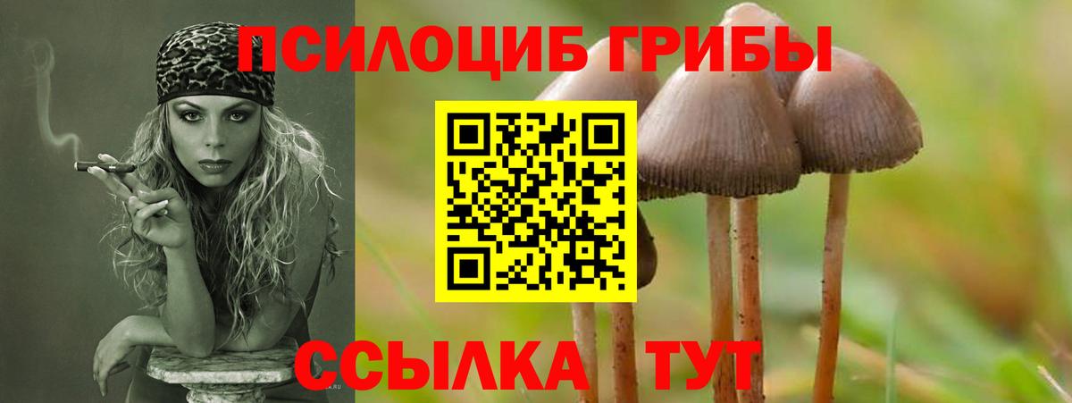Псилоцибиновые грибы прущие грибы  Вход с VPN  Нарткала 